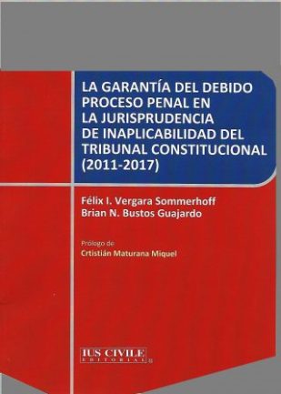La garantía del debido proceso penal en la jurisprudencia de inaplicabilidad (copia)